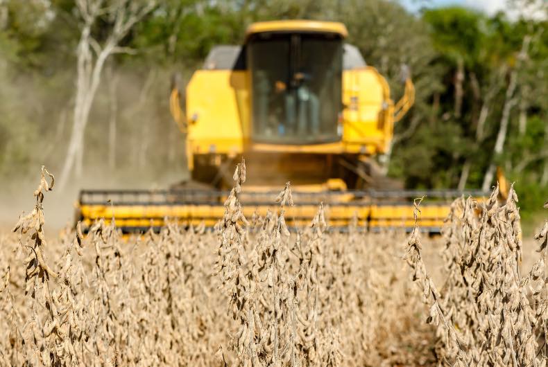 Produção de grãos no Brasil pode alcançar recorde histórico na safra 2024/2025