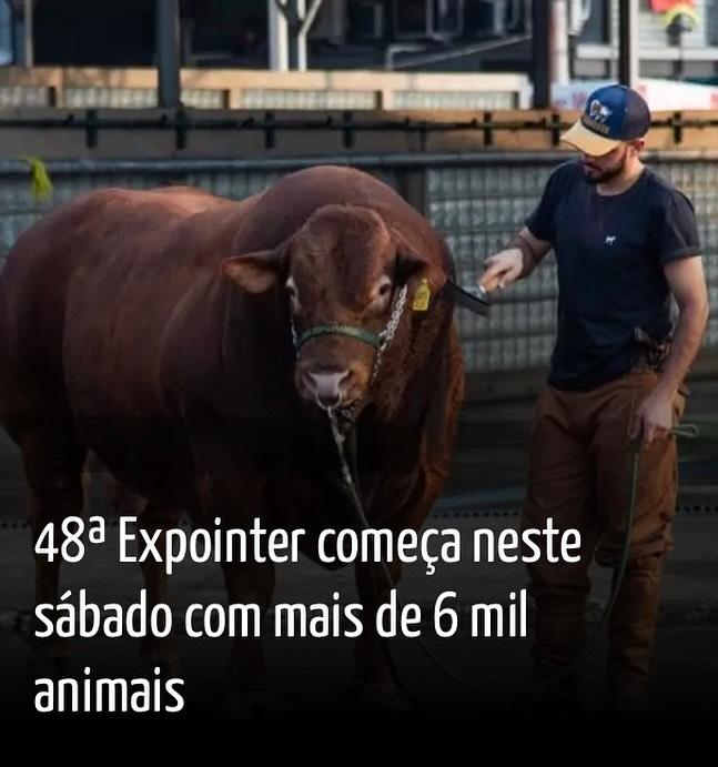 48ª Expointer começa neste sábado com mais de 6 mil animais