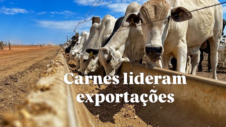 Agronegócio gaúcho movimenta US$ 4,5 bilhões em exportações no 4º trimestre de 2025