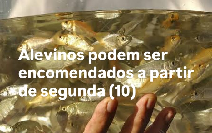 Alevinos podem ser encomendados a partir de segunda (10).