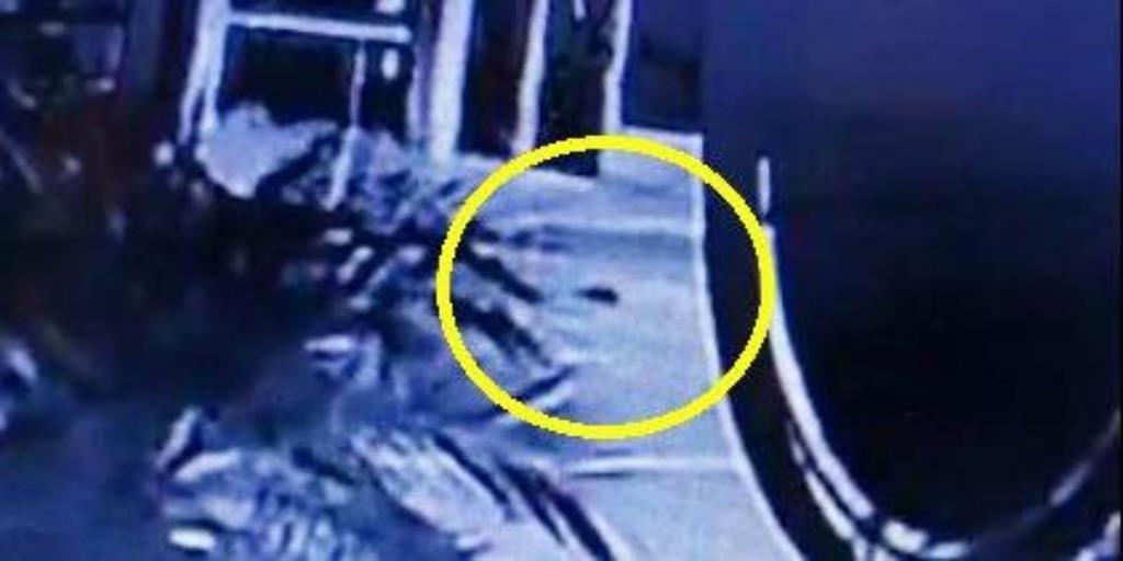 BM localiza jovem que seria a mãe de bebê jogado pela janela de ônibus 