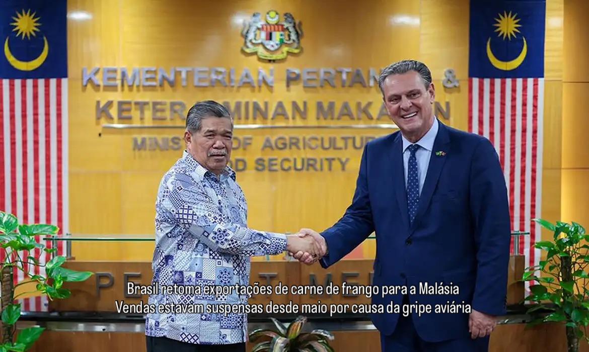Brasil retoma exportações de carne de frango para a Malásia