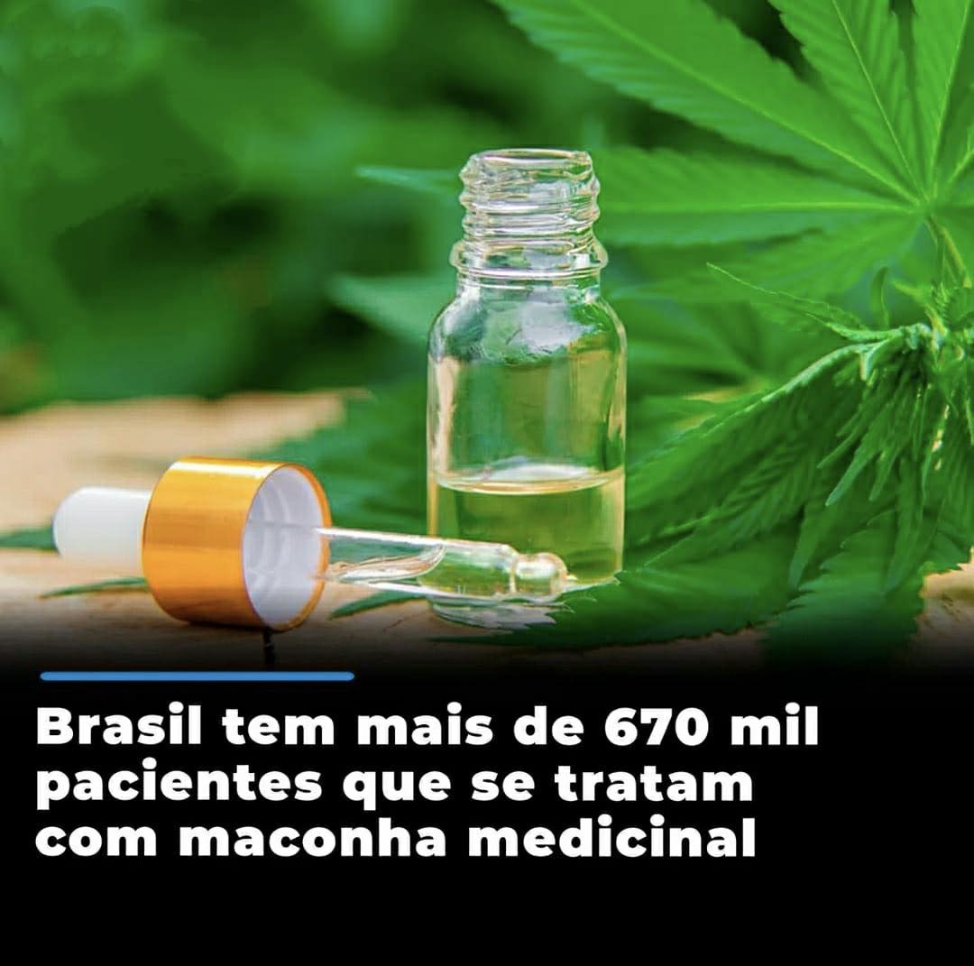 Brasil tem mais de 670 mil pacientes que se tratam com maconha medicinal