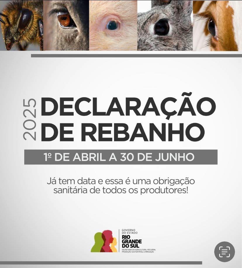 Declaração anual do rebanho deve ser feita até junho